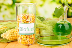 Wootton Bassett biofuel availability